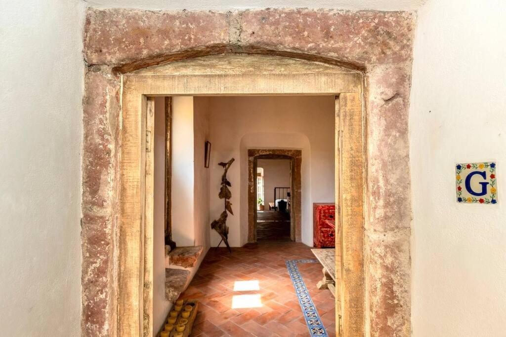 Amapola Loft Apartment San Miguel de Allende Exterior foto